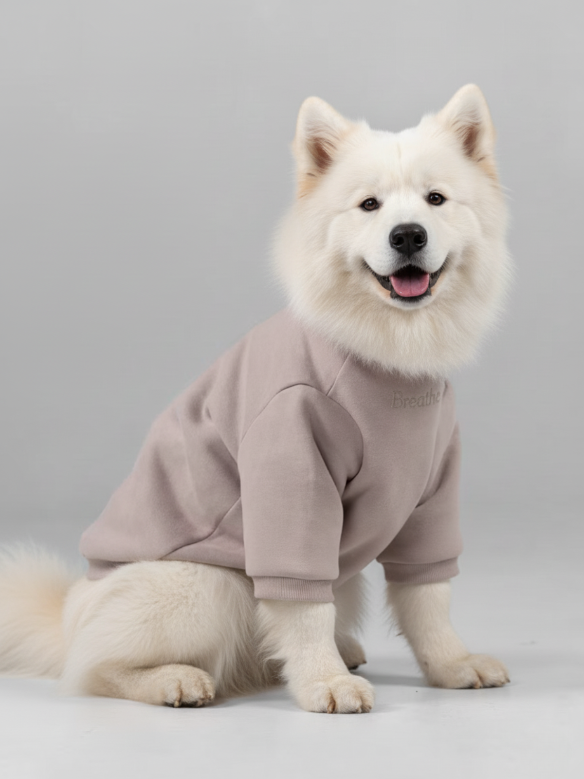 Cloud Paw Hoodie