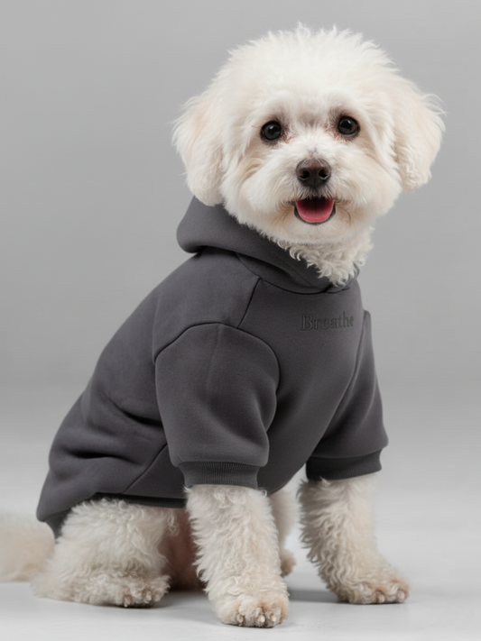 Cloud Paw Hoodie